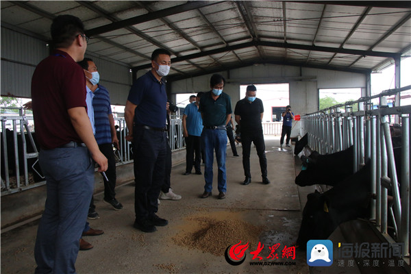 品质滨州丨做强“牛产业”阳信亿利源助推“阳信牛”高质量发展