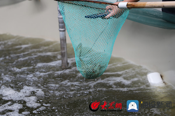 滨州的“与众不同” 助力开启时代的新篇章