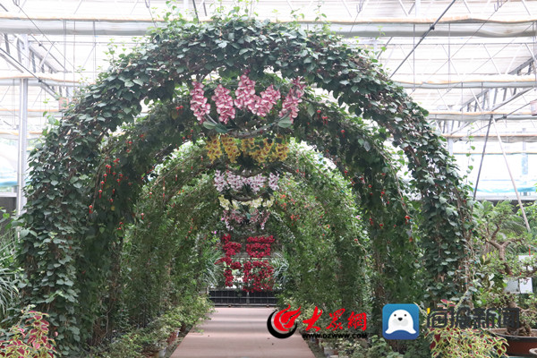滨州的“与众不同” 助力开启时代的新篇章
