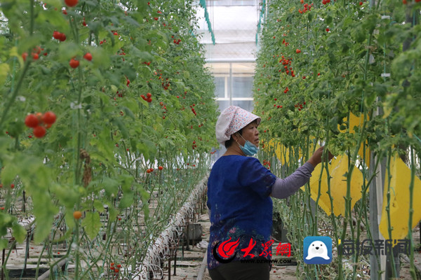 滨州的“与众不同” 助力开启时代的新篇章