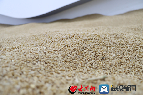 滨州的“与众不同” 助力开启时代的新篇章