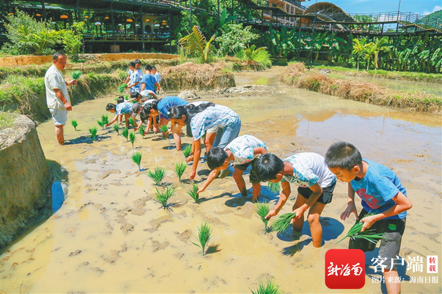 亲近山海、“上天揽月”、探索雨林……这个暑期来海南研学游吧！