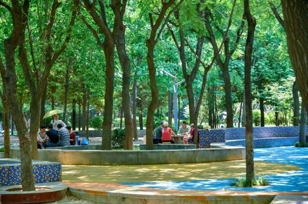 推进公园建设 打造西安高新区的“幸福圈”