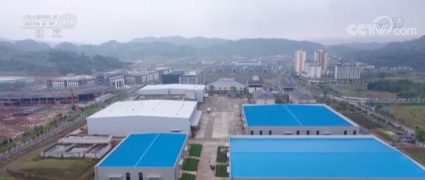 重庆南川：万亩蓝莓丰收 科技助力增收