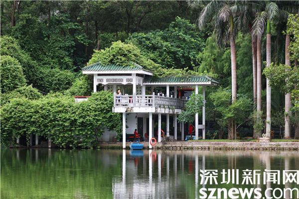 深圳：罗湖区东湖公园山水相融美如画