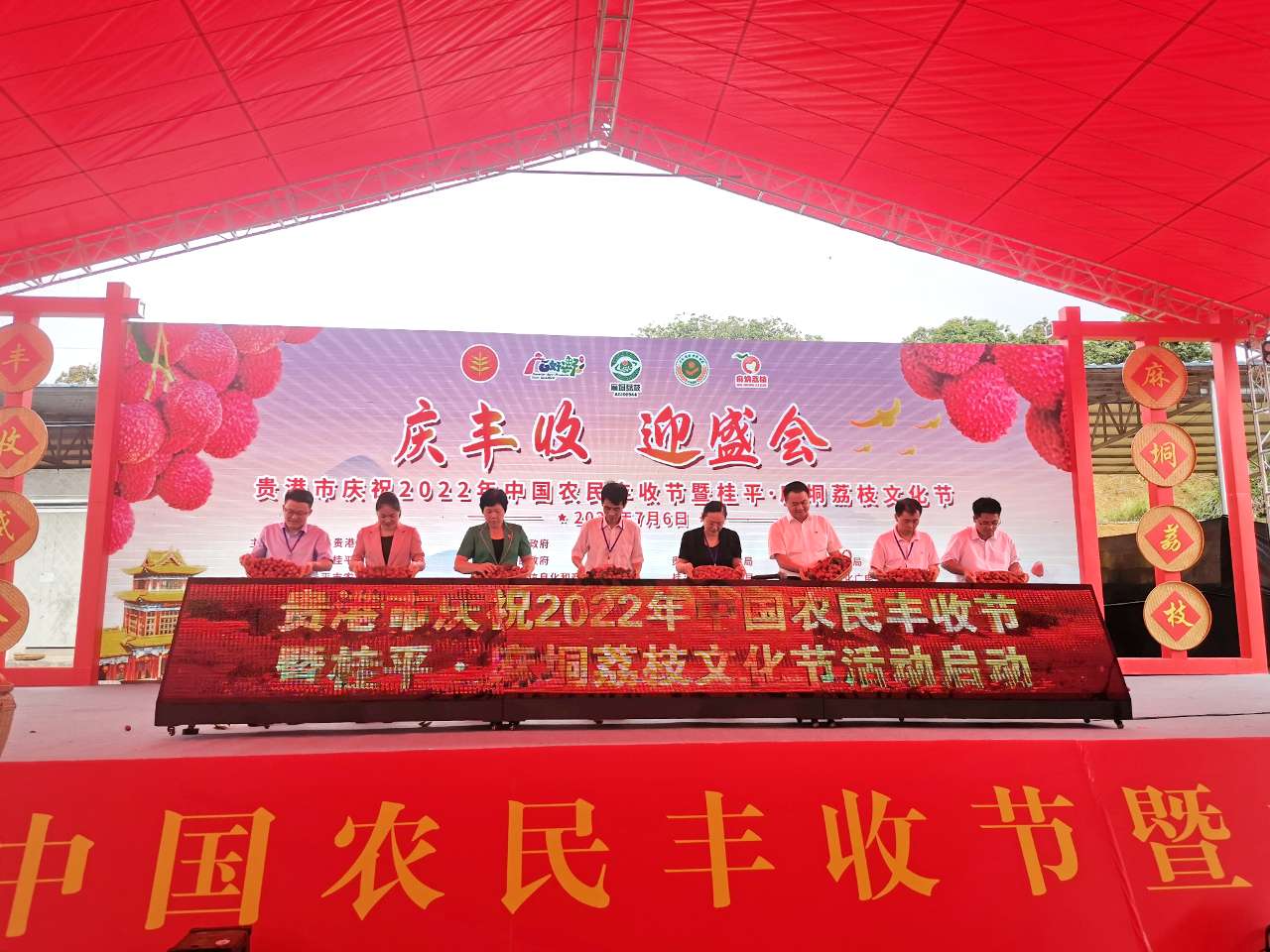 广西桂平：小小荔枝培育成大产业