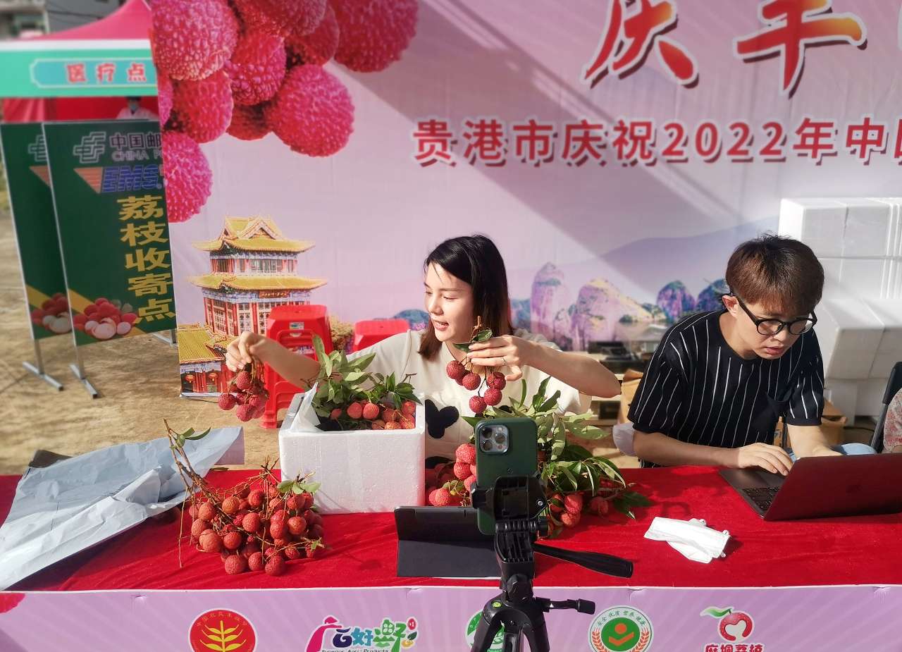 广西桂平：小小荔枝培育成大产业
