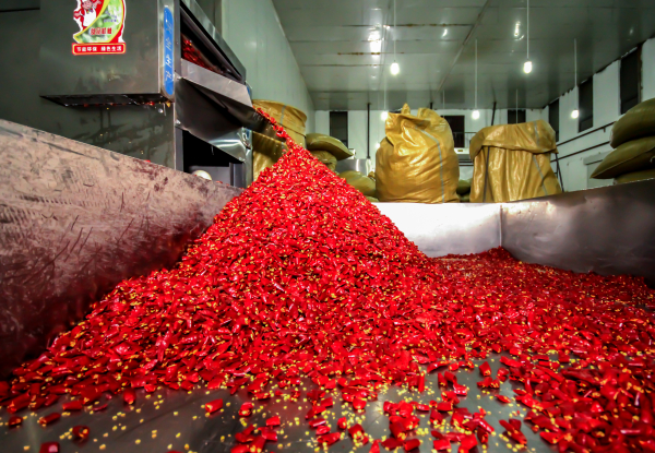 小辣椒大产业！吉林有个闻名全国的“辣椒之乡”