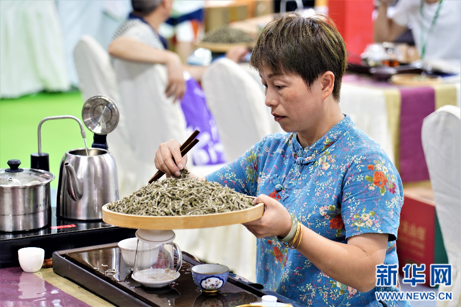 第十六届重庆茶博会开幕 集结全国600家品牌茶企