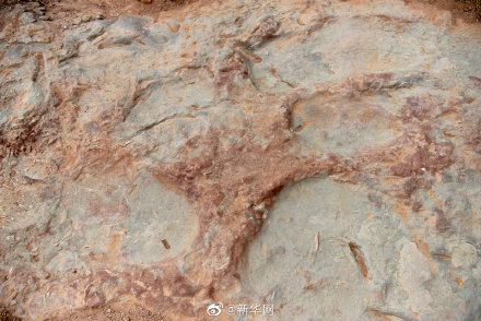 河北宣化发现4300多个恐龙足迹