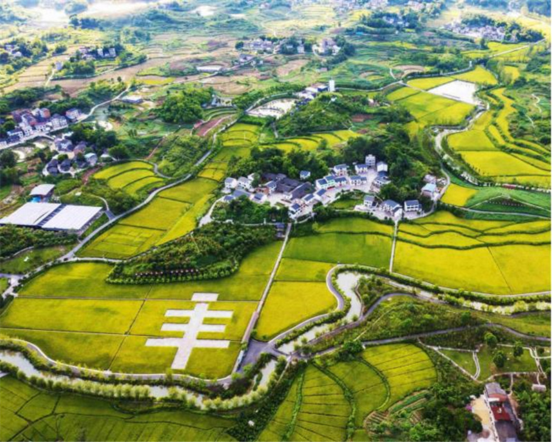 【在希望的田野上】重庆长寿：打造“农业迪士尼”融合发展探新路
