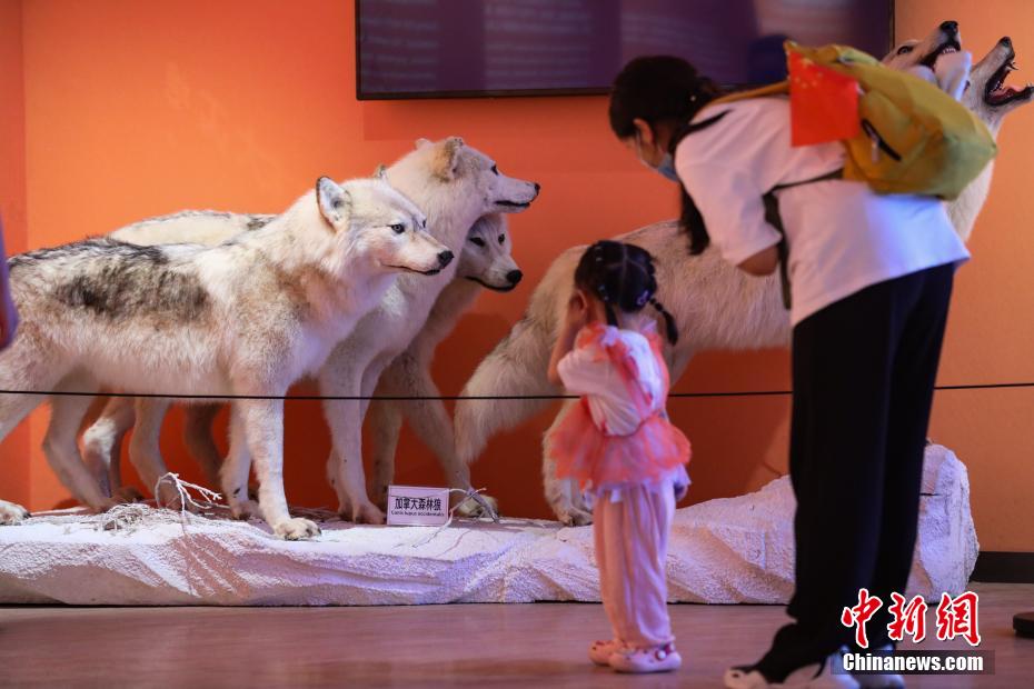 “守望——濒危动物”展在贵州省地质博物馆开展