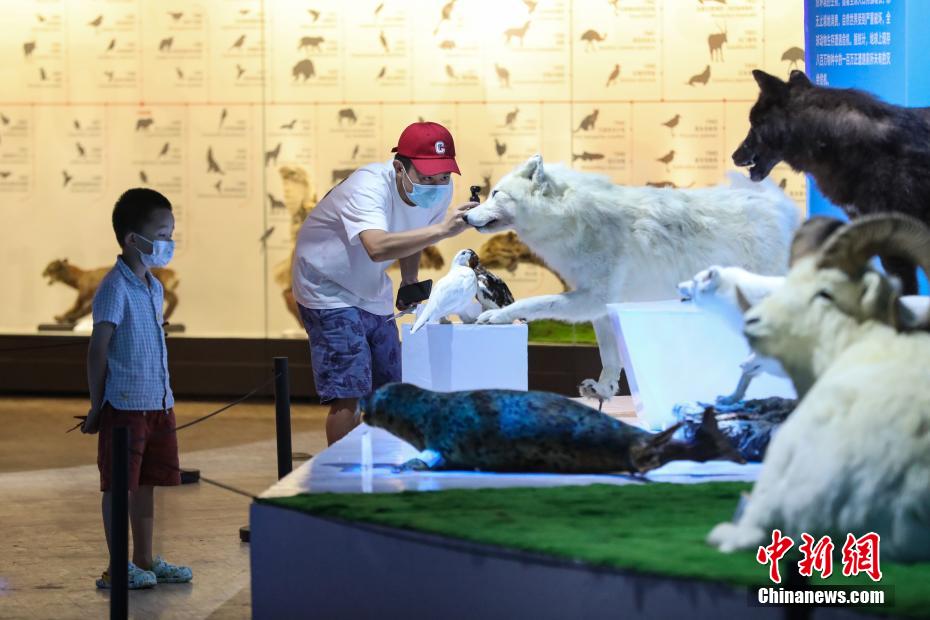 “守望——濒危动物”展在贵州省地质博物馆开展