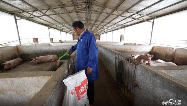江西：创新涉农金融服务 助推生猪产业发展