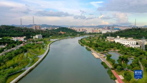 从“黑臭河”到“生态河”——广东茅洲河治理观察