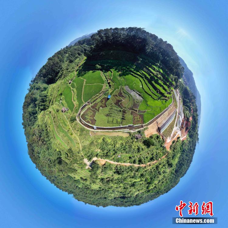 空中俯窥贵州从江占里侗寨“稻鱼鸭图”