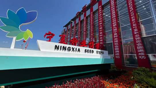 宁夏这个农业“芯片”博览会已举办九届，来这里感受种子的力量