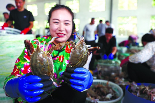 连云港第一网海鲜线上被抢购一空