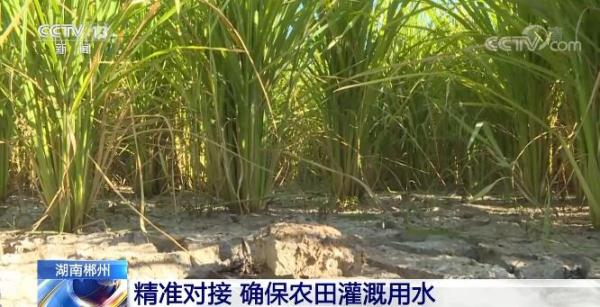 湖南郴州落实防旱抗旱各项措施 确保农田灌溉用水