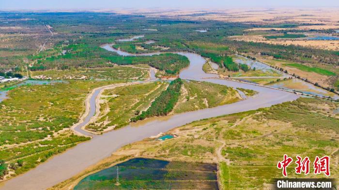 新疆利用塔里木河汛期为天然胡杨林“解渴”