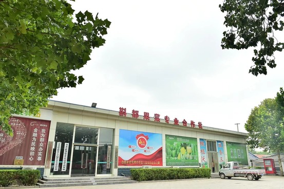 创新供应链金融服务，山东农担推动寿光菜全链条绿色发展