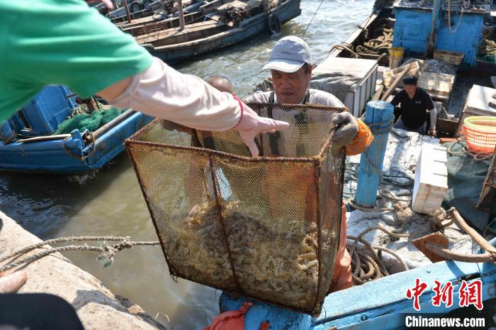 近海捕捞船只靠岸后，渔民卸下新鲜渔获。　王海滨 摄