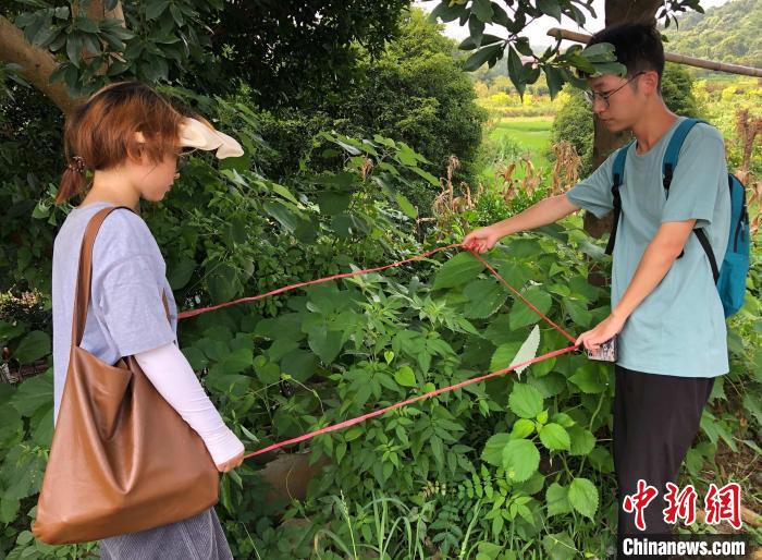 高校师生普查浙江24个县市区发现165种外来入侵植物