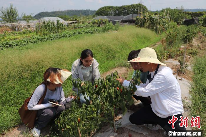 高校师生普查浙江24个县市区发现165种外来入侵植物
