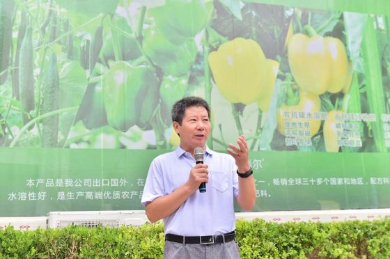 国企改革看山东｜从田间地头看农担如何创新供应链金融服务、推动寿光菜全链条绿色发展