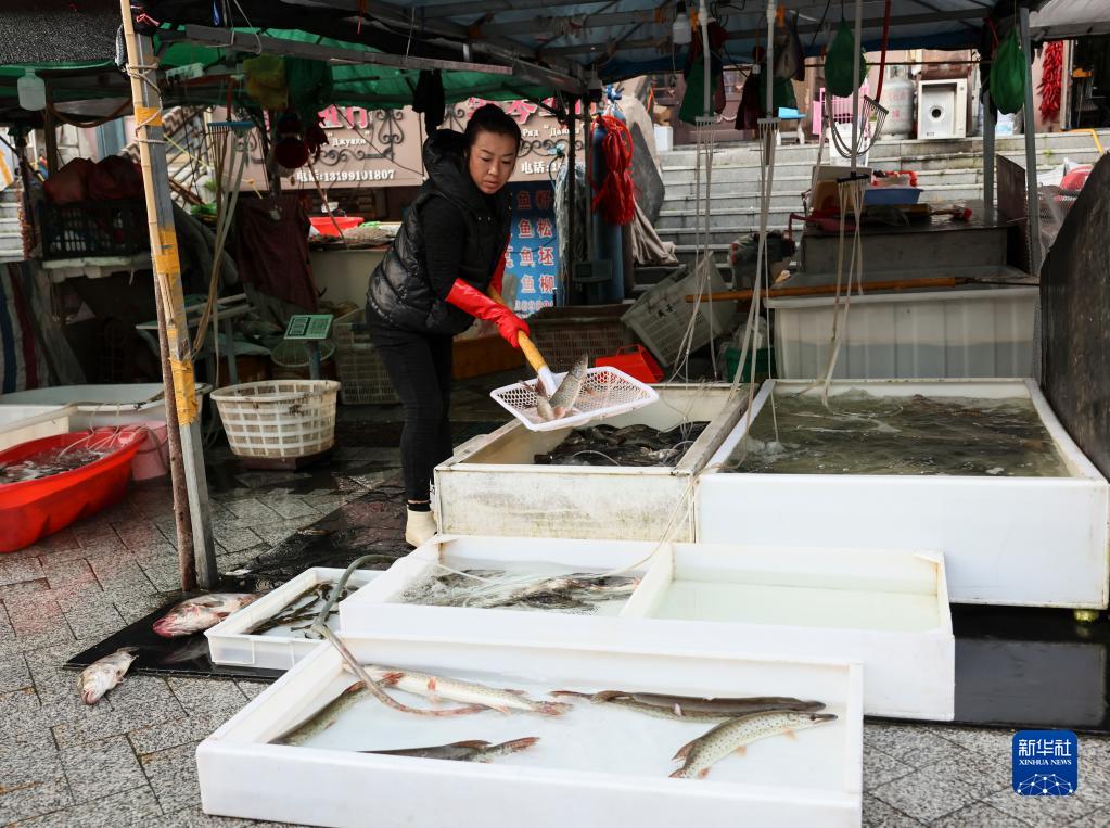 探访中国东极鱼市