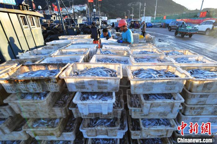 整筐带鱼堆放码头准备投放市场。　王海滨 摄