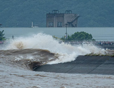 杭州洪潮图片