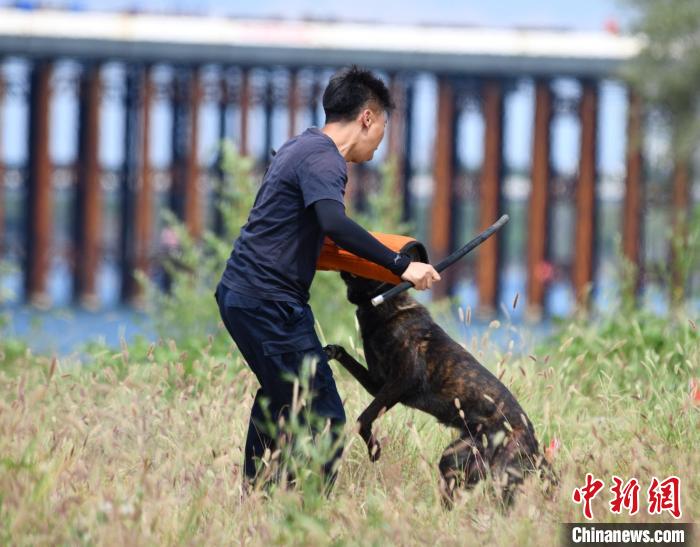 北京警方开展警犬训练助力“百日行动”