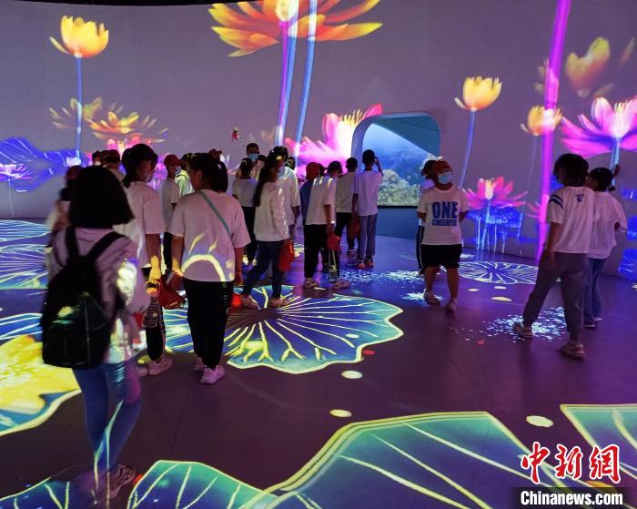 逾300名中小学生研学“京津冀最美湿地” 感受衡水湖变迁