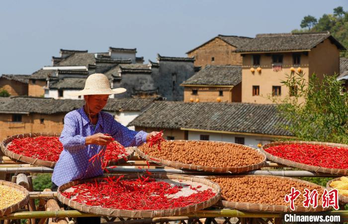 在安徽省黄山市歙县阳产村，村民正在土楼前晾晒农作物。　施亚磊 摄