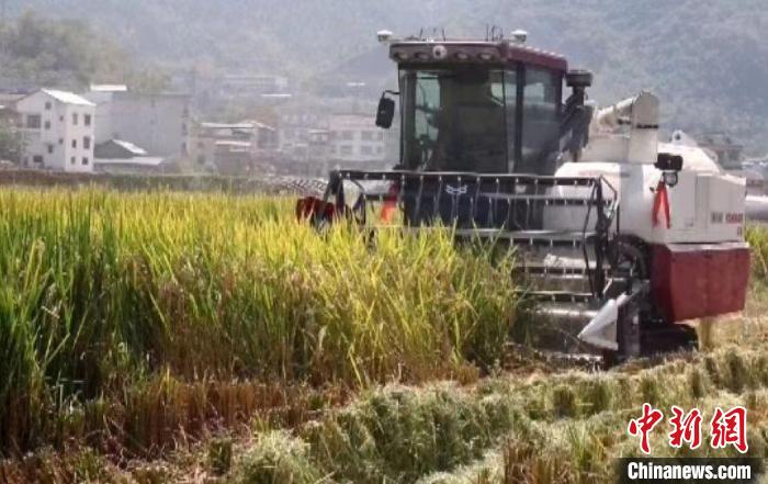 贵州思南：水稻基地实现全程自动化作业