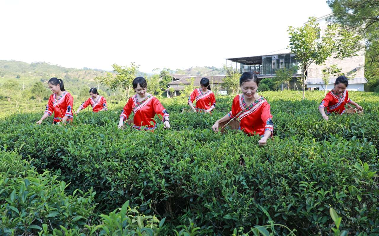 广西推出首批生态产品价值实现典型案例