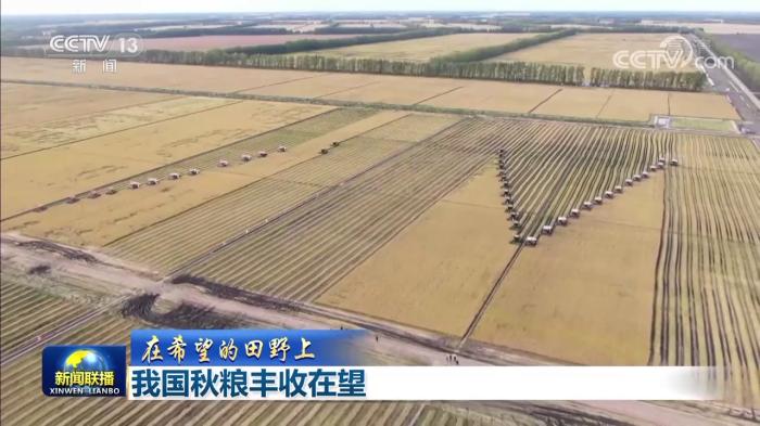 【在希望的田野上】我国秋粮丰收在望