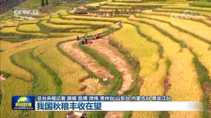 【在希望的田野上】我国秋粮丰收在望