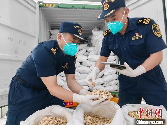 湖北魔芋产品远销海外 海关助企拓展国际市场