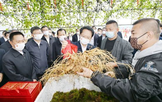 吉林·通化2022年中国农民丰收节活动举行