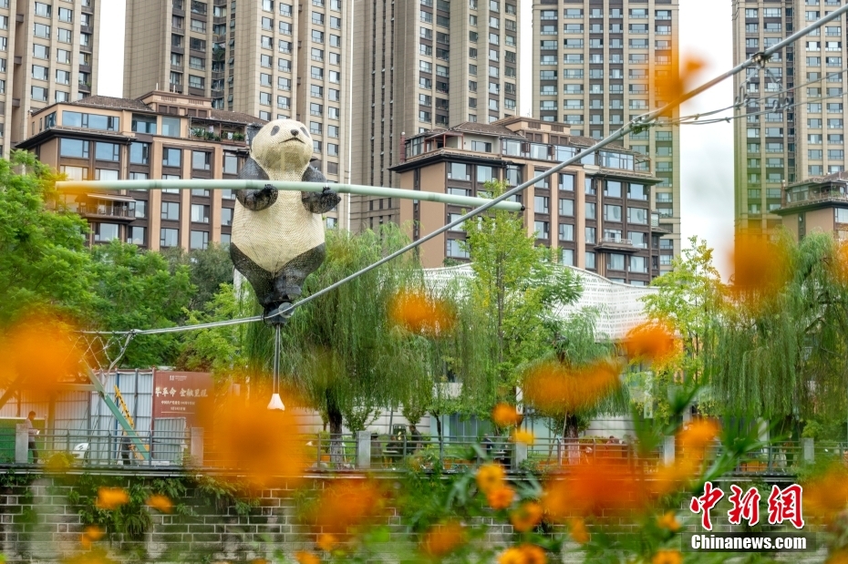 四川成都：走钢丝的“大熊猫”为城市添靓丽风景