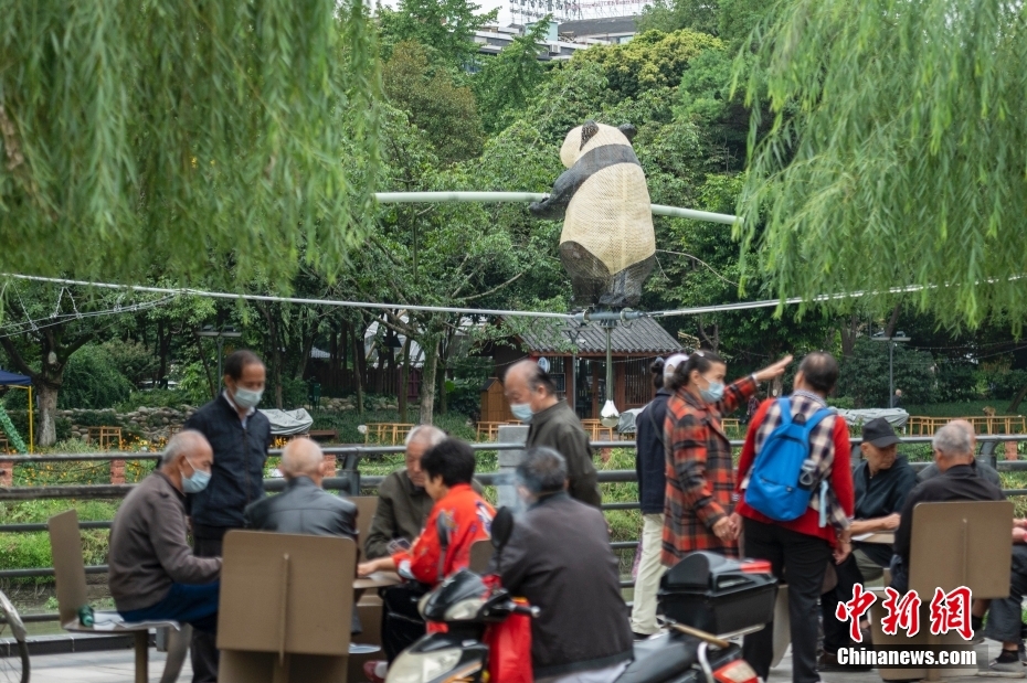 四川成都：走钢丝的“大熊猫”为城市添靓丽风景