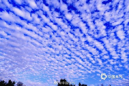 黑龙江哈尔滨：鱼鳞云铺满天空 宛如孔雀开屏