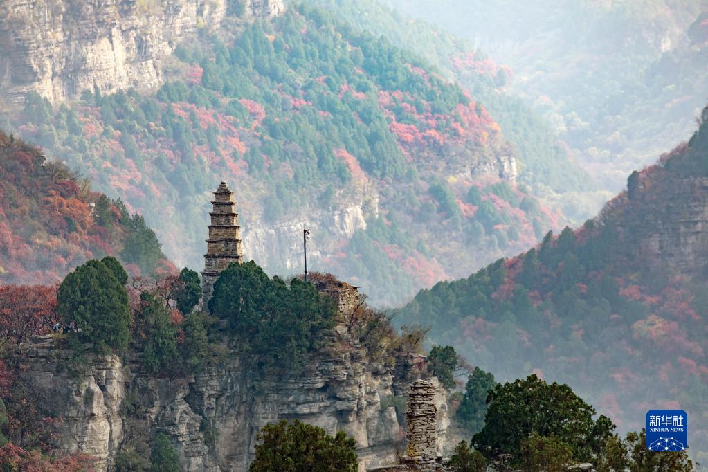 诗意中国——山明水净夜来霜，数树深红出浅黄