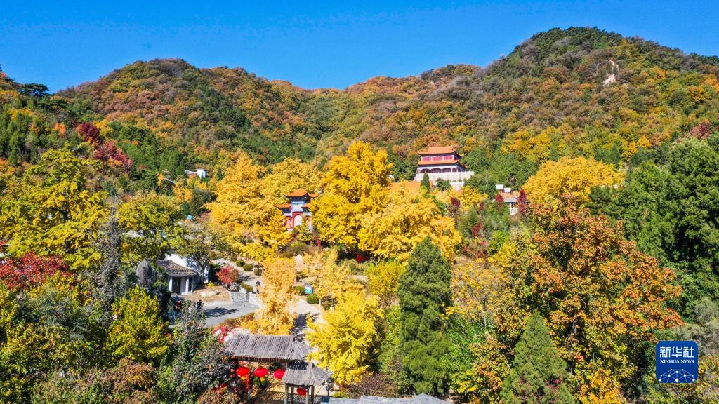 诗意中国——山明水净夜来霜，数树深红出浅黄