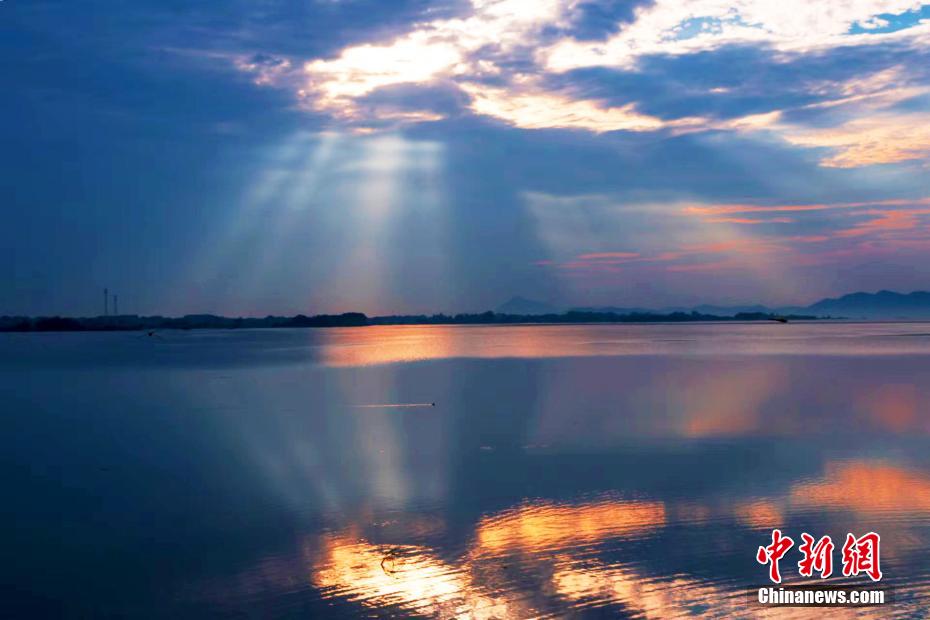 “中国鹤湖”升金湖迎来候鸟迁徙高峰