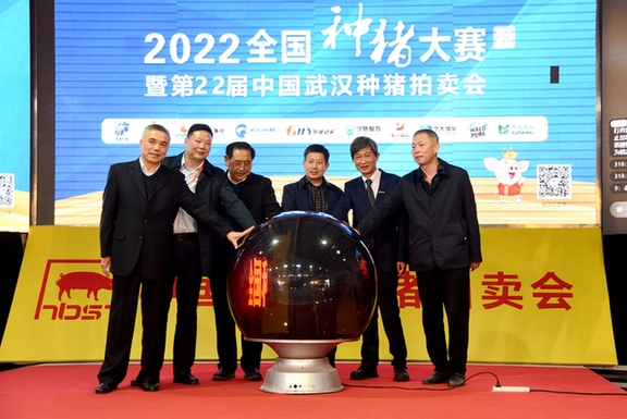 全国种猪大赛（湖北赛区）暨第22届中国武汉种猪拍卖会落槌