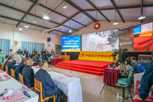 全国种猪大赛（湖北赛区）暨第22届中国武汉种猪拍卖会落槌