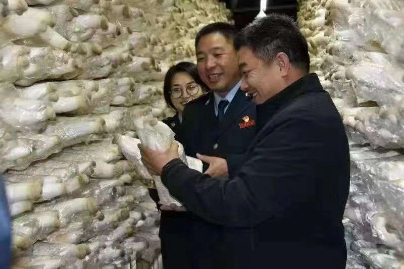 宁夏彭阳： 闽宁携手描绘“五美融合”新画卷